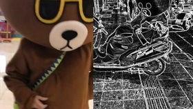 网红熊吃瓜,揭秘娱乐圈幕后真相